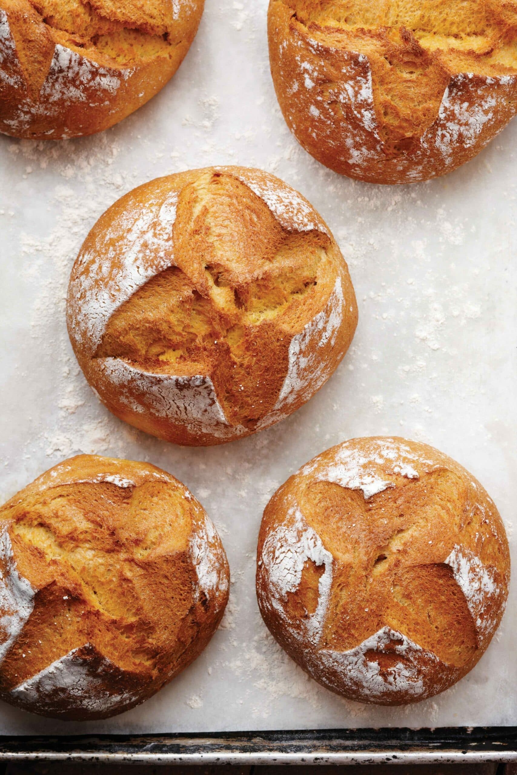 cornmeal pumpkin bread