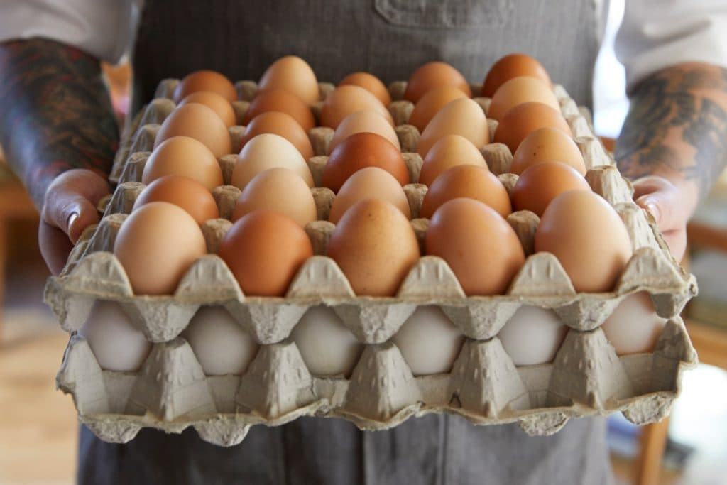 carton of eggs