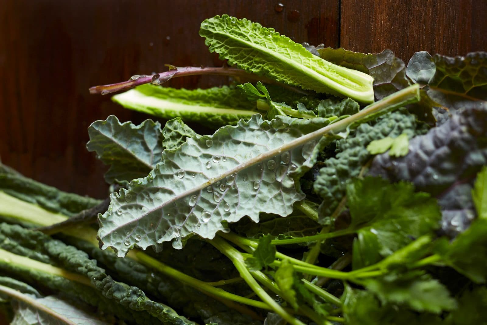 fresh kale and lettuce leaves with water droplets
