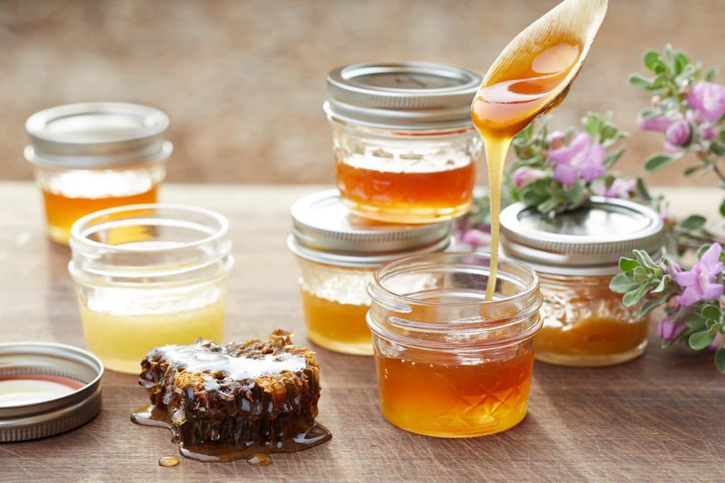 Honey tasting with different kind of honeys
