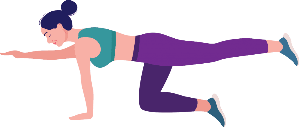 Graphic of bird dog exercise