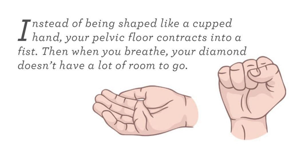 Pelvic floor quote with hands demonstrating how pelvic floor contracs